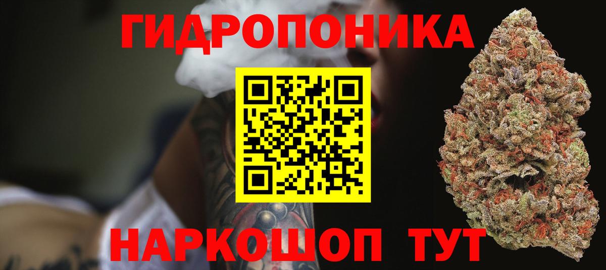 Конопля ГИДРОПОН Дагестанские Огни